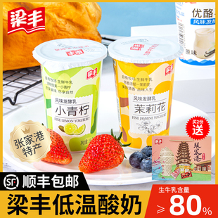 梁豐酸奶低溫發酵乳8杯小青檸茉莉花酸奶張家港特產順豐新鮮日期