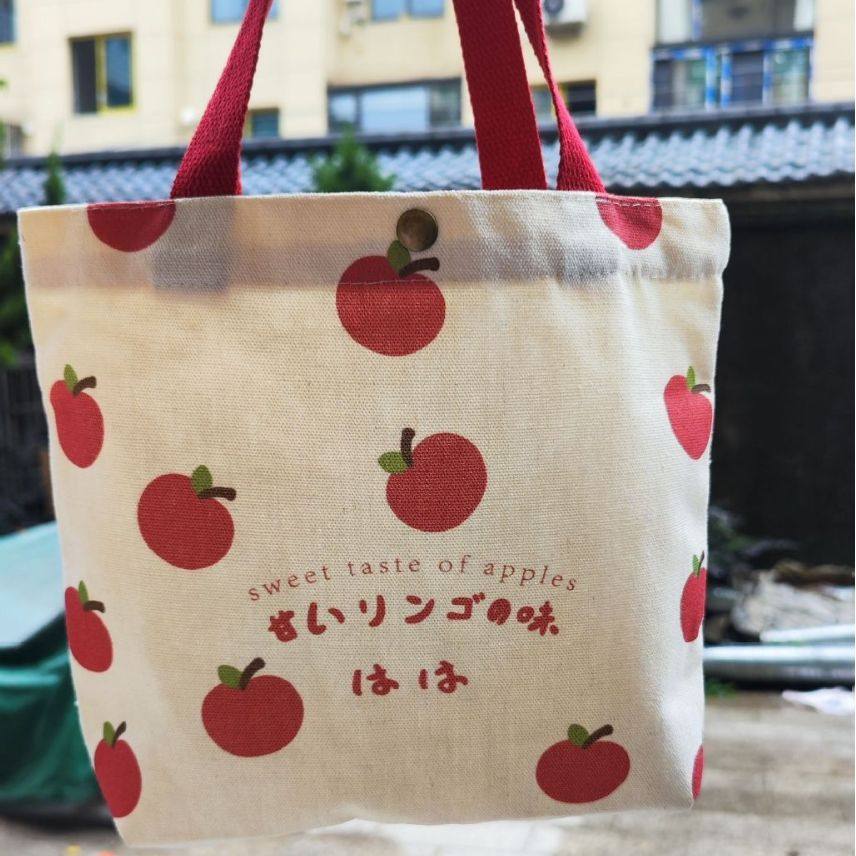 时尚百搭帆布包日式迷你帆布袋可爱精致手拎包大容量便当手提袋,箱包皮具/热销女包/男包,时尚帆布包,淘宝优惠券,粉丝福利购,淘宝优惠卷