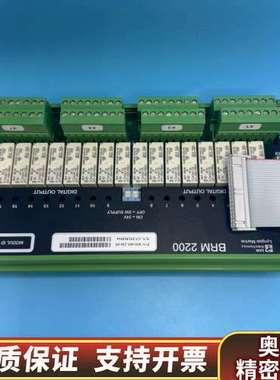 SAM BRM 2200数字输出模块，型号：BRM 22.询价