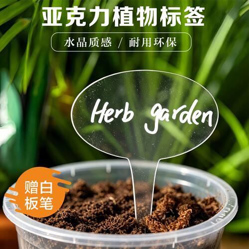 幼儿园园艺T型植物标签插牌