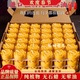 纯植物莲花酥油灯4小时100粒8小时供灯供佛酥油蜡烛供佛灯长明灯