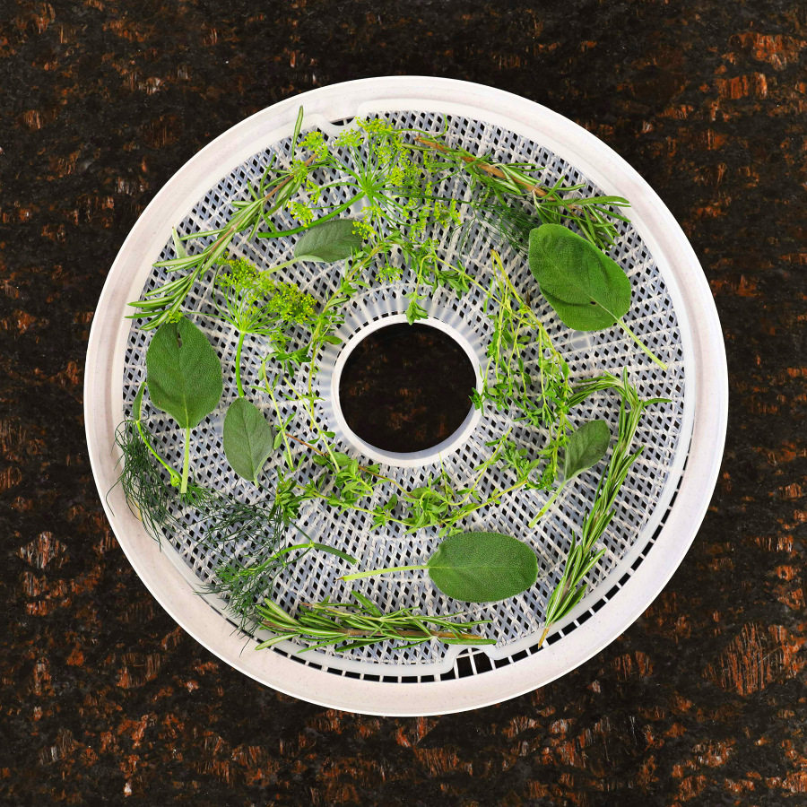 丹皮盘水果泥脱水盘果脯卷烘干盘Nesco系列食物烘干机干果机配件,厨房电器,其它厨房家电,淘宝优惠券,粉丝福利购,淘宝优惠卷