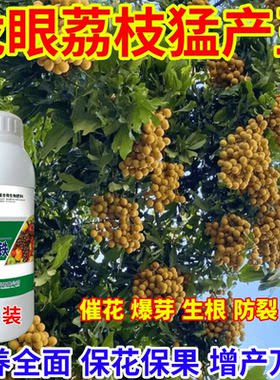 龙眼荔枝猛产王叶面肥通用果树防裂绿叶老牌子中微量元素肥料正品