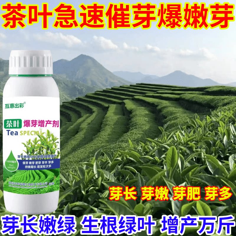 茶叶急速催芽爆嫩芽用肥茶叶催芽剂芽长嫩绿抗寒提前出芽芽多壮