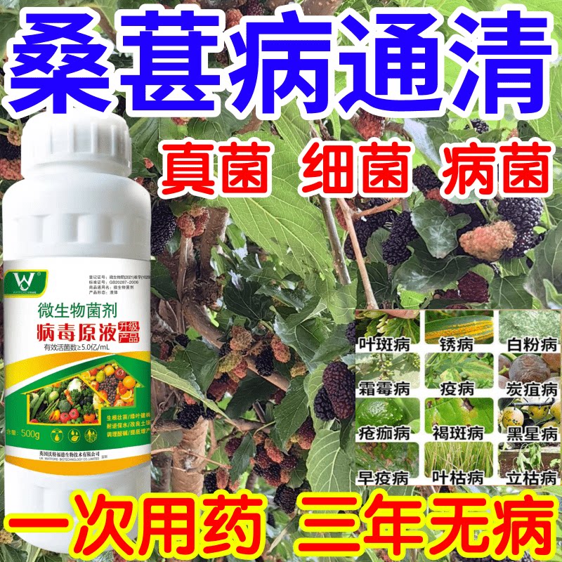 桑葚病通清黑星病立枯病疫病锈病果树蔬菜花卉生根壮苗增产杀菌剂