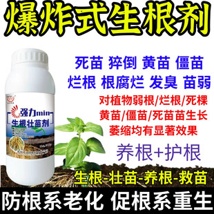 爆炸式生根剂力生根养根护生根原液快速生根剂正品强力养根发根剂