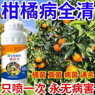 柑橘病全清菌速效万能病菌净微生物菌剂肥料专治所有病菌作物通用