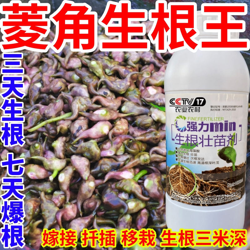 菱角生根王强力生根粉生根剂壮苗发根生根剂扦插移栽通用水溶肥料