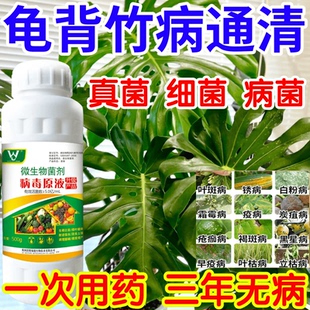 龟背竹病通清星病立枯病疫病锈病果树蔬菜花卉生根壮苗增产杀菌剂