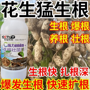 花生猛生根爆发生根养根护根壮苗水培移栽扦插果树蔬菜花卉生根剂