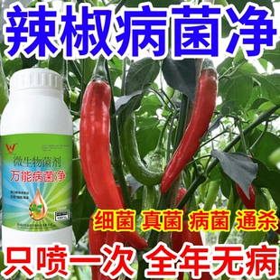 辣椒病菌净果树蔬菜花卉稻瘟病病毒白粉病灰霉病锈病病害清一喷清