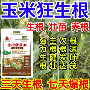 玉米狂生根根深叶茂主根健株次根发达果树蔬菜花卉爆根生根壮苗剂