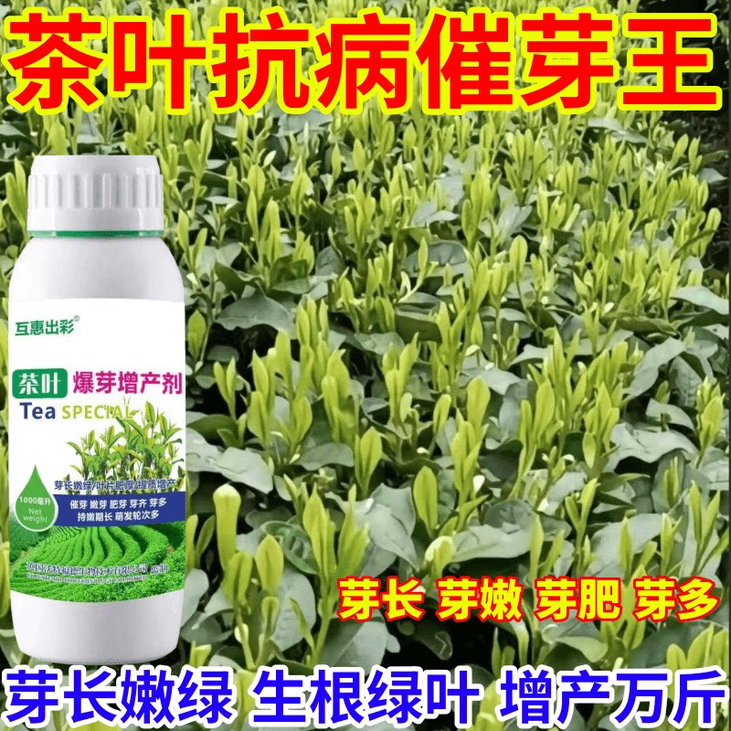 茶叶抗病催芽王专用肥茶叶催芽剂芽长嫩绿抗寒提前出芽芽多壮