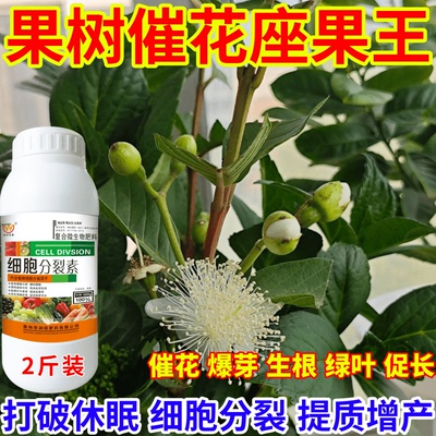 果树催花座果王花芽分化保花保果膨果增产叶面肥瓜果蔬菜农用通用
