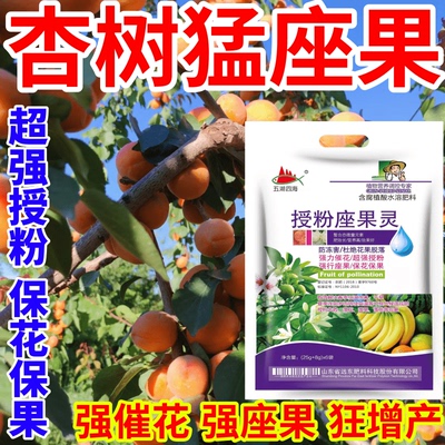 杏树猛座果花促花座果防落果防冻害通用瓜果蔬菜果树增产叶面肥
