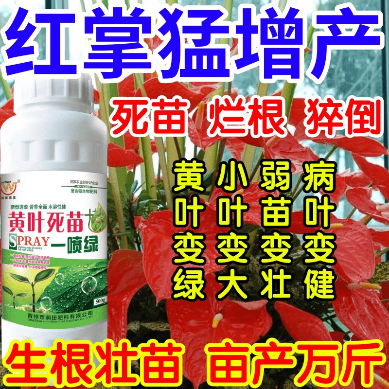 红掌猛增产猝倒根腐弱苗枯萎黄叶死苗一喷就绿果树蔬菜花卉叶面肥