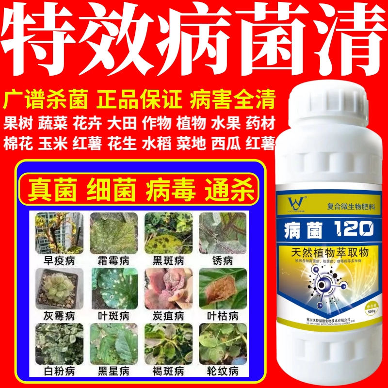 特效病菌清霉病稻瘟病炭疽叶斑病白粉病果树蔬菜花卉微生物杀菌剂