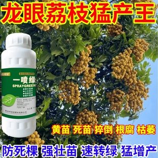 龙眼荔枝猛产王苗一喷绿通用植物蔬菜花卉果树绿叶微量元素肥农用
