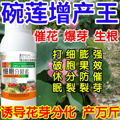 碗莲增产王打破休眠加速细胞分裂膨果防裂强效催芽果树蔬菜叶面肥