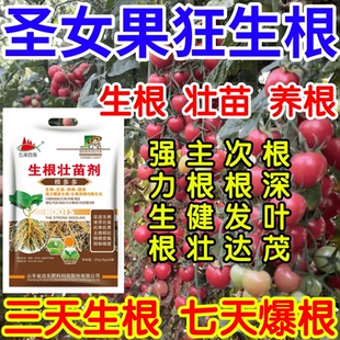 圣女果狂生根深叶茂主根健株次根发达果树蔬菜花卉爆根生根壮苗剂