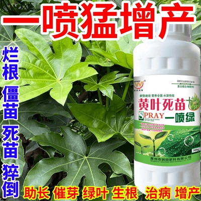 一喷猛增产喷绿变绿保花保果蔬菜花卉果树植物小叶黄叶卷叶叶面肥