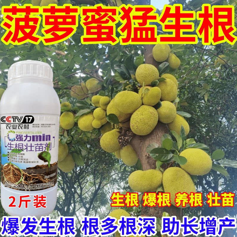 菠萝蜜猛生根根壮苗剂速效生根液大树移植苗木扦插果树蔬菜生根剂