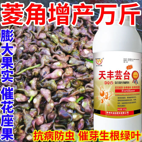 菱角增产万斤芸苔内脂植物生长叶面肥保花果增产壮苗天丰芸苔素