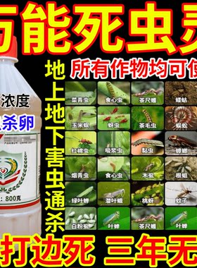 万能死虫灵地蛆虫黏虫果树蔬菜花卉胃毒内吸杀虫杀卵农药杀虫剂