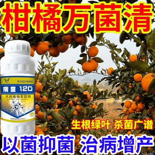 柑橘万菌清病菌细菌通杀霜霉病蔬菜果树白粉病晚疫病通用型杀菌剂