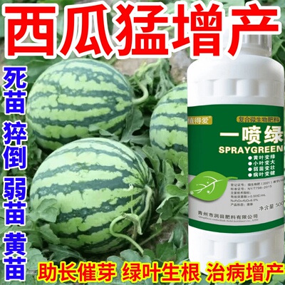 西瓜猛增产黄叶变绿叶蔬菜花卉果树死苗通用烂根黄叶专用叶面肥料