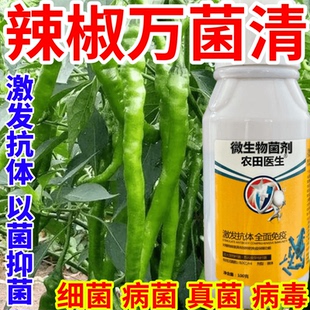 辣椒万菌清炭疽病轮斑病叶枯病叶斑疫病果蔬花卉水稻死苗烂根猝倒