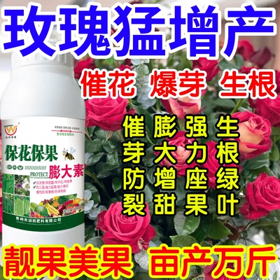 玫瑰猛增产花保果素蔬菜专用膨大剂水果增大剂防裂防落靓果叶面肥