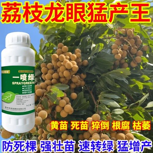 荔枝龙眼猛产王苗一喷绿通用植物蔬菜花卉果树绿叶微量元素肥农用