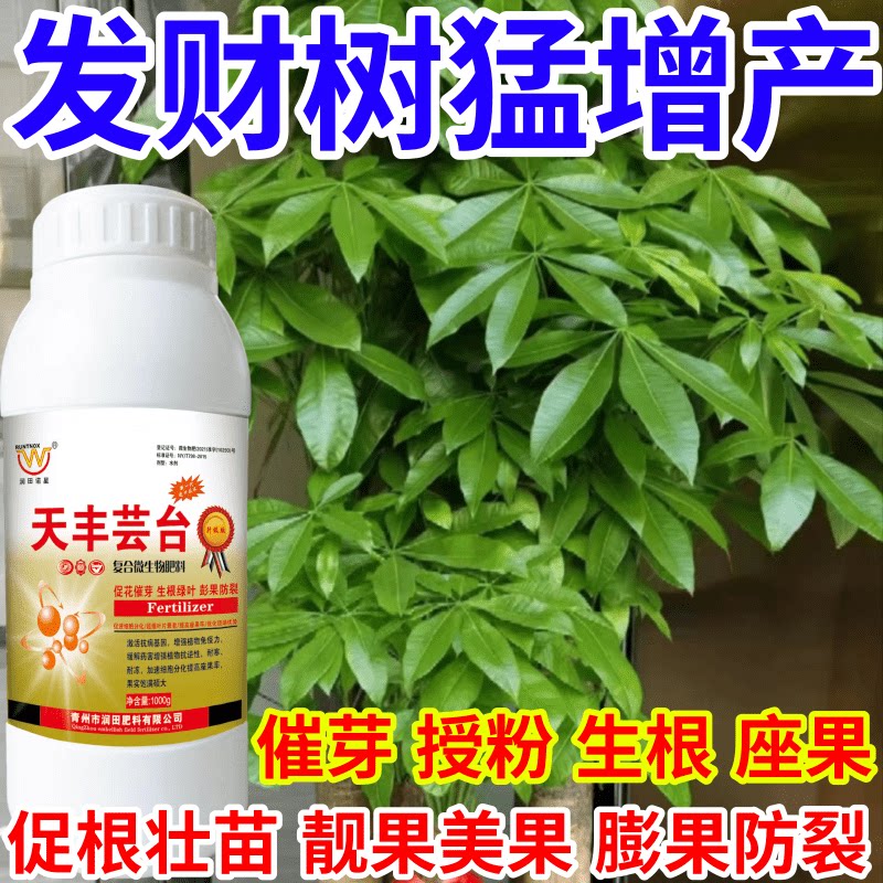 发财树猛增产花保果催芽增产增收爆芽生长调节叶面肥果树蔬菜花卉