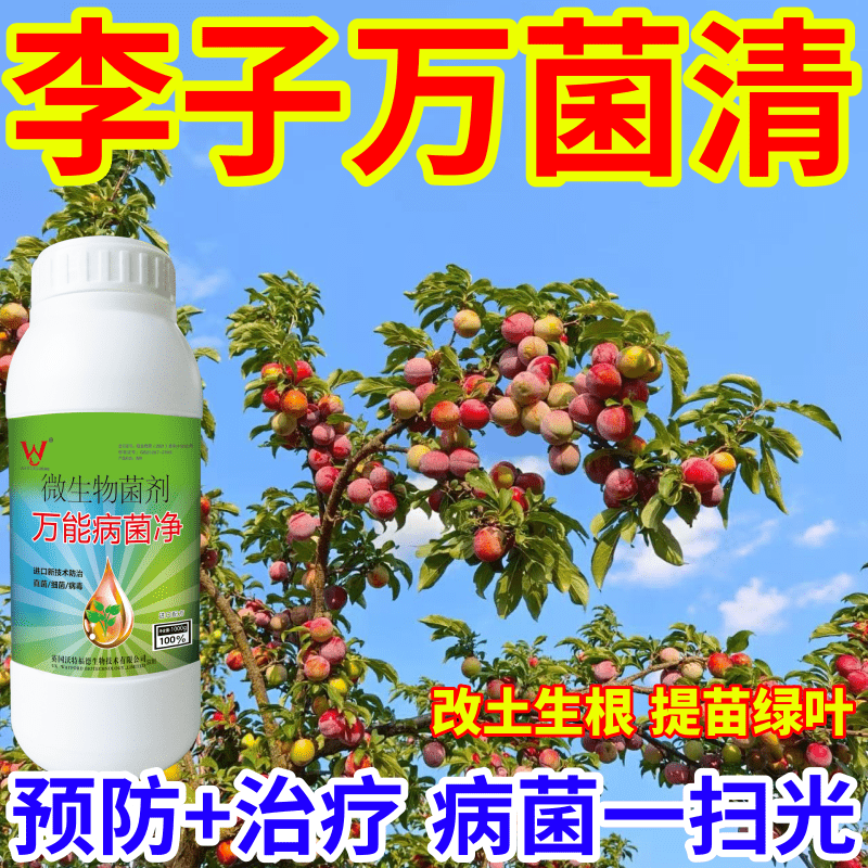李子万菌清真菌细菌病毒病早晚疫病霜霉病白粉病灰霉病稻瘟病锈病