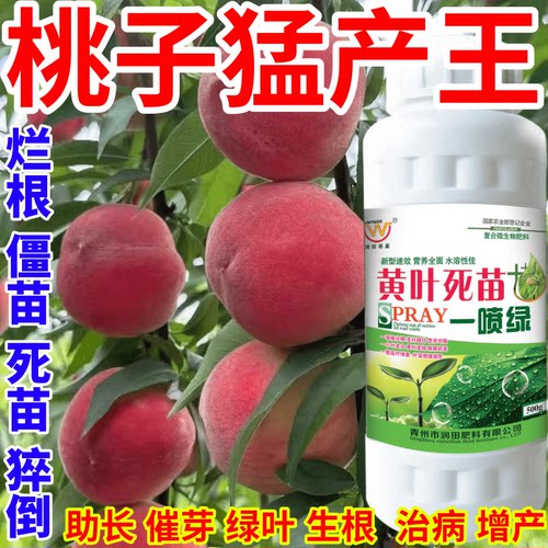 桃子猛产王喷绿变绿保花保果蔬菜花卉果树植物小叶黄叶卷叶叶面肥