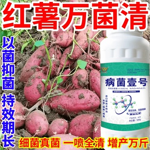 紅薯萬菌清早霜霉病晚疫病白粉病真菌細菌病毒稻瘟病銹病一瓶搞定