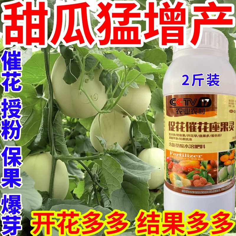 甜瓜猛增产果肥壮花壮果座果精防落素果树瓜果蔬菜授粉膨大叶面肥