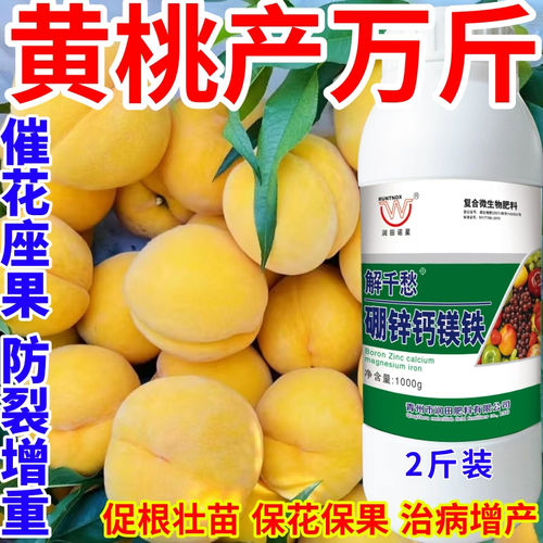 黄桃产万斤钙镁硼锌铁绿叶靓果膨果多果美果提质丰产促花促果作物