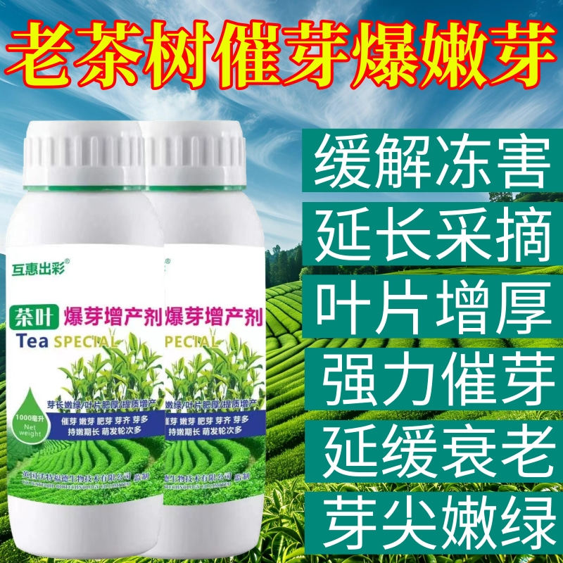 老茶树催芽爆嫩芽用叶面肥爆新芽剂强力催芽增产促长促花芽叶面肥