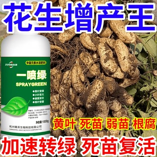 花生增产王黄叶死苗烂根防根腐蔬菜果树绿植花卉生根壮苗叶面肥料