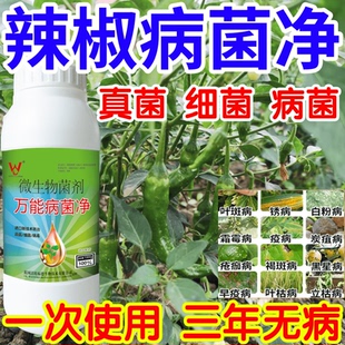 辣椒病菌净白粉病灰霉病锈病绿植花卉果树蔬菜病害清一喷清杀菌剂