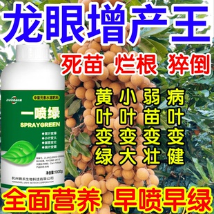 龙眼增产王黄叶死苗根腐猝倒僵苗弱苗一喷复活果树蔬菜花卉叶面肥