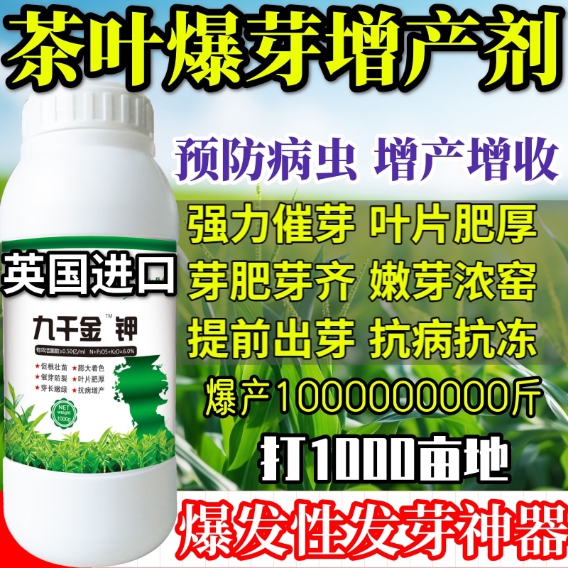 茶叶爆芽增产剂芽王增产抗病防害九百金钾九千金钾专用叶面肥料