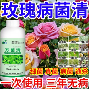 玫瑰病菌清粉病灰霉病稻瘟病锈病真菌细菌病毒杀菌剂果树蔬菜花卉