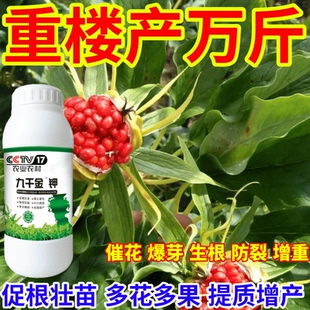 重楼产万斤抗寒抗冻保花保果九千金钾催产爆芽增收叶面肥绿叶生根