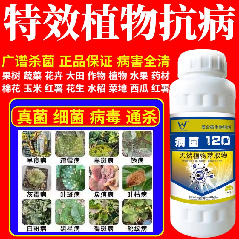 特效植物抗病病稻瘟病炭疽叶斑病白粉病果树蔬菜花卉微生物杀菌剂