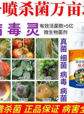 一喷杀菌万亩地预防白粉病灰霉病稻瘟病锈病等真菌细菌病害防治