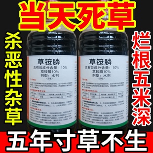 当天死草药除草剂除草杂草灌木草芦苇树竹草除草剂正品灭草剂农药