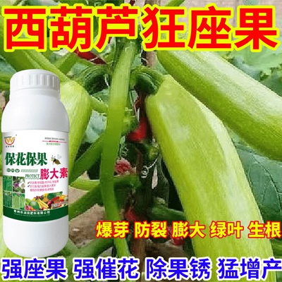 西葫芦狂座果大素增产预防畸形防裂果除果锈高产果树蔬菜肥营养液